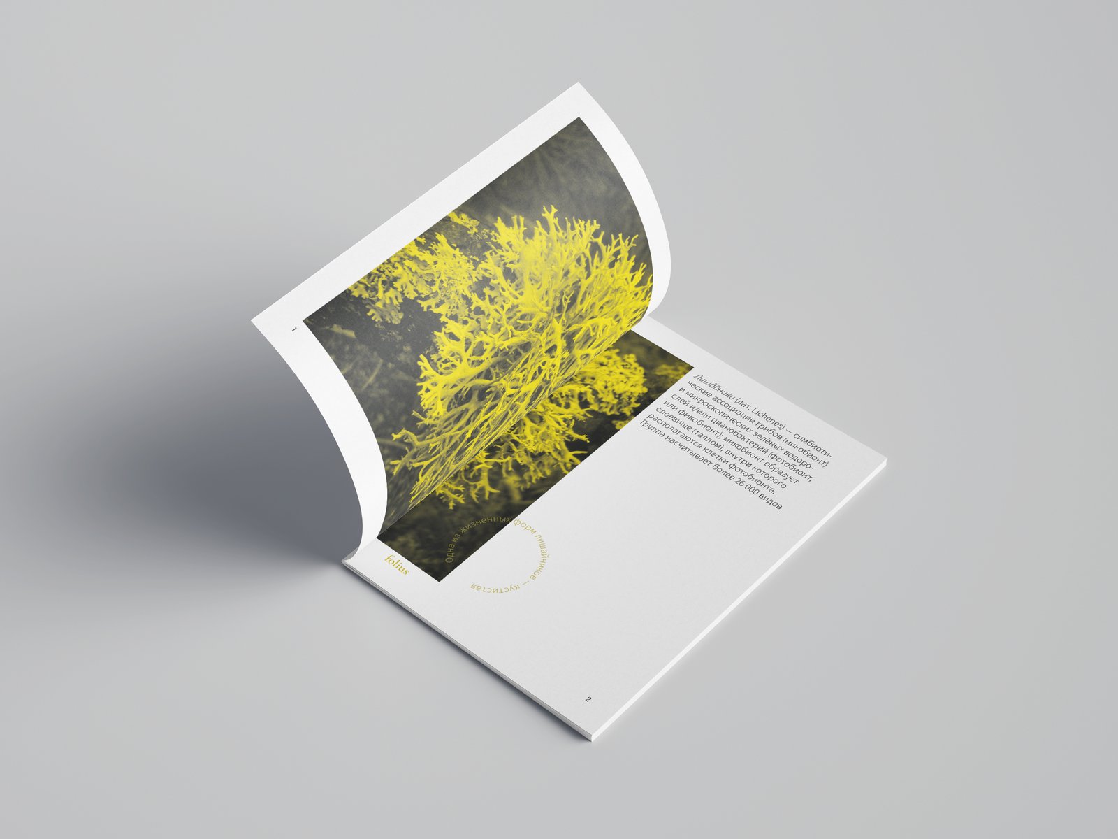 Folius brochure spread